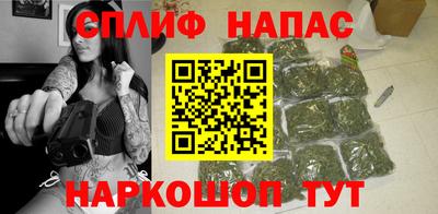 индика Можайск